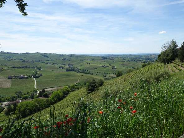 case-in-piemonte-piedmont-properties-real-estate-eli-anne-fabiana-1375 (2)