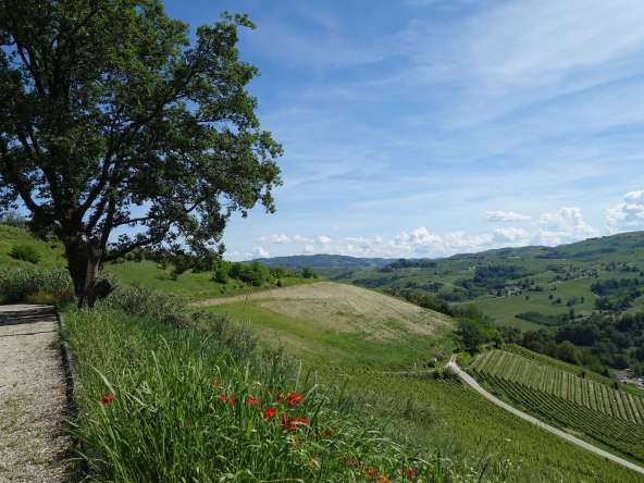 case-in-piemonte-piedmont-properties-real-estate-eli-anne-fabiana-1375 (4)