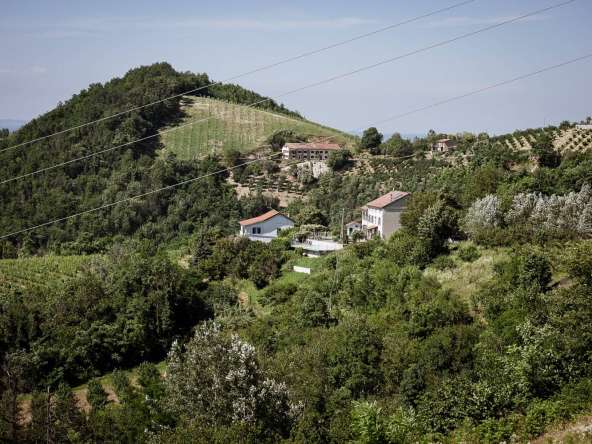 case-in-piemonte-piedmont-properties-real-estate-eli-anne-fabiana (17)