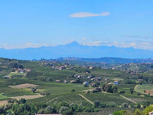 Utsikt Alper og vinmarker