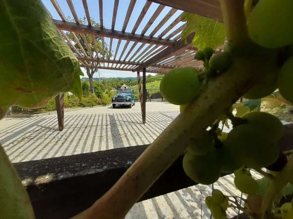 CP-1629_unesco_canelli_nizza_piemonte_caseinpiemonte_realestate_sanmarzano_architects_elianne_fabiana_swimmingpool (5)