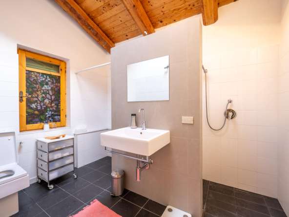 CL-1632_fabiana_elianne_caseinpiemonte_realestate_unesco_mango_alba_pool_stone_piemonte (12)