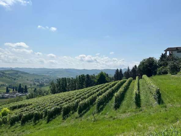 SelectedHomes_SanMarzanoOliveto_Monferrato_Immobiliare_barbera_cv-16925