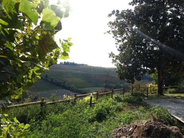 SelectedHomesPiemonte_Fontanile_Monferrato_immobiliare_barbera_cp-169408904