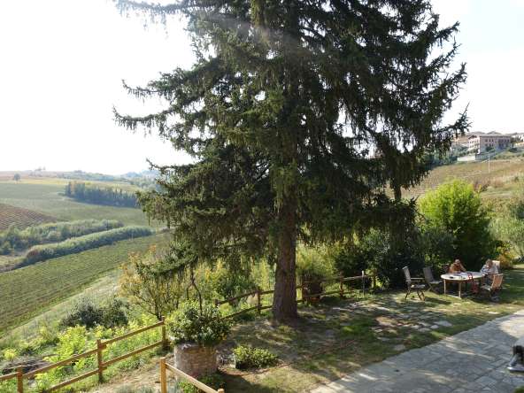 SelectedHomesPiemonte_Fontanile_Monferrato_immobiliare_barbera_cp-169408949