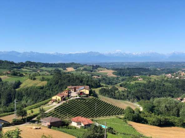 CP-1714_monforte_alba_barolo_elianne_fabiana_piemonte_langhe_unesco_property_project_unique_realestate (19)