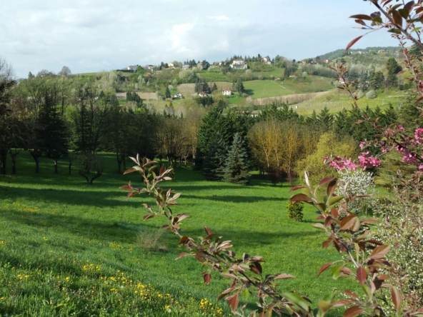 CV-1728_acquiterme_caseinpiemonte_elianne_fabiana_piemonte_realestate_unesco_barbera_luxury (2)