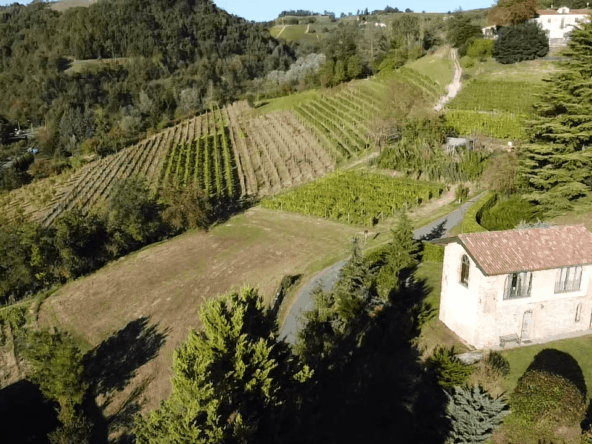 CV-1728_acquiterme_caseinpiemonte_elianne_fabiana_piemonte_realestate_unesco_barbera_luxury (2)